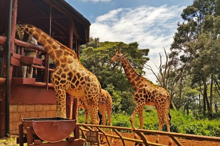 Responsible travel with Wizack Tours