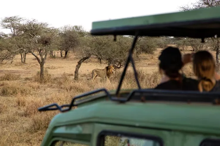 Samburu Special Five Safari